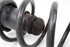 Image sur Ressort de suspension arrière droite Lancia Ypsilon de 2003 à 2007