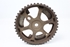 Picture of Polie árvore de cames Peugeot 307 de 2001 a 2005 | 9640473080