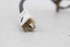 Bild von Gurtschloss vorne links Hyundai Accent aus 1999 zu 2001