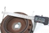 Picture of Crankshaft Pulley Renault Clio II Fase II from 2001 to 2003 | 8200029591