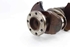 Picture of Crankshaft Renault Laguna Break from 1998 to 2001 | Ref. Motor: F4P 760