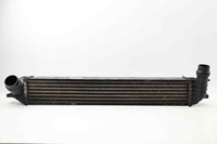 Picture of Intercooler Renault Laguna III from 2007 to 2010 | 144610001N/--C
BEHR H9467002