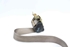 Picture of Front Right Seatbelt Renault Laguna II Break from 2005 to 2007