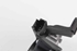 Image sur Système / moteur de essuie-glace arrière Renault Grand Scenic III Fase II de 2013 à 2016 | BOSCH 0390201856