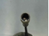 Bild von ABS Sensor vorne rechts Renault Megane Scenic I Fase II aus 1999 zu 2003 | ATE 10.0713-1109.1
7700429113