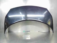 Image sur Bonnet Renault Scenic II Fase I de 2003 à 2006