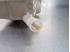 Immagine di Vaschetta acqua radiatore Renault Grand Scenic II Fase I de 2004 a 2006
