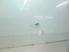 Imagem de Vidro porta frente direita Renault Megane Scenic I Fase II de 1999 a 2003