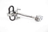 Bild von Türfangband hinten links Opel Vectra C Caravan aus 2005 zu 2008 | GM 09229751