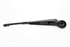 Bild von Wischerarm hinten Ford Fiesta aus 2002 zu 2005 | 2S61-17406-AA