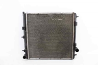 Picture of Water Radiator Peugeot 207 from 2006 to 2009 | 870960000