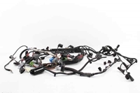 Picture of Engine Loom /Harness Bmw Serie-3 Touring (E91) from 2008 to 2012 | 758039213C