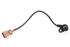 Picture of Captor pms (ponto de motor) Citroen Ax de 1989 a 1997