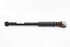 Picture of Amortecedor trás esquerdo Seat Ibiza de 2008 a 2013 | SACHS 6R0513025E