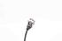 Immagine di Sensore ABS anteriore destro Nissan Almera de 2002 a 2006 | BOSCH 0265007552