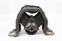 Imagem de Apoio / sinobloco cx de velocidades esquerdo Opel Astra F 4P de 1994 a 1998 | 90236838