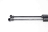 Picture of Amortecedor de capot (par) Bmw Serie-1 (E87) de 2007 a 2011 | 51237118370