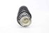 Image sur Ressort de suspension arrière gauche Citroen C4 Coupe Van de 2005 à 2010