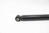 Picture of Amortecedor trás esquerdo Renault Clio III Fase I de 2005 a 2009 | 8200556691
