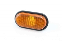 Bild von Blinker Seitenblinker rechts Renault Twingo aus 1993 zu 1998