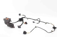 Picture of Rear Door Loom / Harness - Right Volkswagen Passat Sedan from 2011 to 2015 | 3AA971694DG