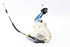 Picture of Door Lock - Front Left Audi A4 Avant from 2012 to 2015 | 8J1837015F