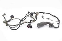 Immagine di Impianto elettrico porta anteriore destra Opel Insignia A da 2008 a 2013 | GM 13264928