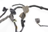 Immagine di Impianto elettrico porta anteriore destra Opel Insignia A da 2008 a 2013 | GM 13264928