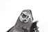 Bild von Dritte Bremsleuchte / 3. Bremslicht Honda Jazz aus 2004 zu 2008 | HONDA