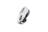 Picture of Dome Front Light Renault Laguna Break from 1998 to 2001