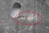 Picture of Protecção inferior de motor Fiat Tipo Sedan de 2015 a 2020 | 00519843160E