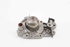 Picture of Water Pump Renault Clio II Fase I from 1998 to 2001