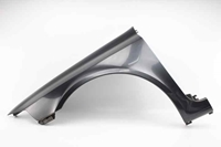 Picture of Fender - Left Side Renault Laguna II Break from 2001 to 2003 | 8200129520