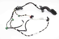 Picture of Rear Door Loom / Harness - Left Volkswagen Passat Sedan from 2015 to 2019 | 3G0971693F
3G0971689A