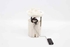Bild von Kraftstoffvorrats Sensor / Kraftstoffschwimmer Ford Transit Courier aus 2014 zu 2018 | Boshc 
AY11-9275-AC
