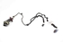Picture of Rear Door Loom / Harness - Right Peugeot 207 from 2009 to 2014 | 9686853680