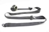 Picture of Cinto trás esquerdo Peugeot 207 de 2009 a 2014 | 96738848XX