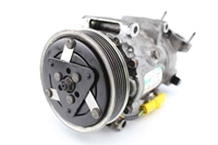 Picture of A/C Compressor Peugeot 207 from 2006 to 2009 | SANDEN
07026809661
9651910980