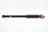 Immagine di Ammortizzatore posteriore sinistro Ford Fiesta de 2013 a 2016 | C1BC-18080-MB
