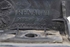 Picture of Fender - Left Side Renault Laguna II Break from 2001 to 2003 | 8200129520
