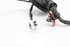 Picture of Rear Door Loom / Harness - Right Kia Ceed from 2009 to 2012 | 91660-1H010