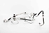 Picture of Air Conditioning Hose / Pipes Set Hyundai I20 from 2008 to 2012 | 