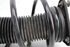 Picture of Suspensão / amortecedor e mola frente esquerdo Ford Focus de 2004 a 2008 | AL-KO 302395