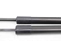 Picture of Amortecedor de mala (par) Renault Clio IV Fase I de 2012 a 2016 | 844308661R