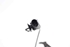 Bild von ABS Sensor vorne links Fiat Grande Punto Van aus 2006 zu 2012 | 265007671 - BOSCH