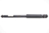 Picture of Amortecedor trás direito Honda Civic de 2008 a 2011 | SACHS
52610-SMR-E030-M1
844902001379
801402000183