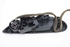 Picture of Puxador interior frente direito Ford Fiesta de 2008 a 2012 | 8A61-A22600-BFW