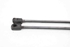 Picture of Amortecedor de mala (par) Chevrolet Aveo de 2008 a 2011 | 96540939