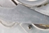 Image sur Lève-vitres arrière droite Ford C-Max de 2007 à 2010 | 3M51-R27000-AG