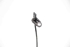 Bild von ABS Sensor vorne rechts Toyota Auris aus 2012 zu 2015 | BOSCH 0265007805
89542-02061